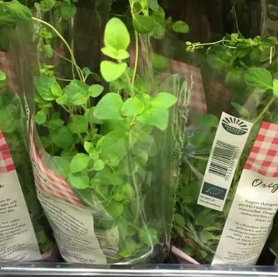 Drukowanie na zamówienie Przejrzyste folie BOPP do pakowania kwiatów i roślin